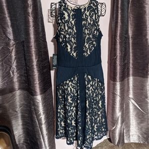 BRAND NEW - The Limited - Navy Lace Dress - 12